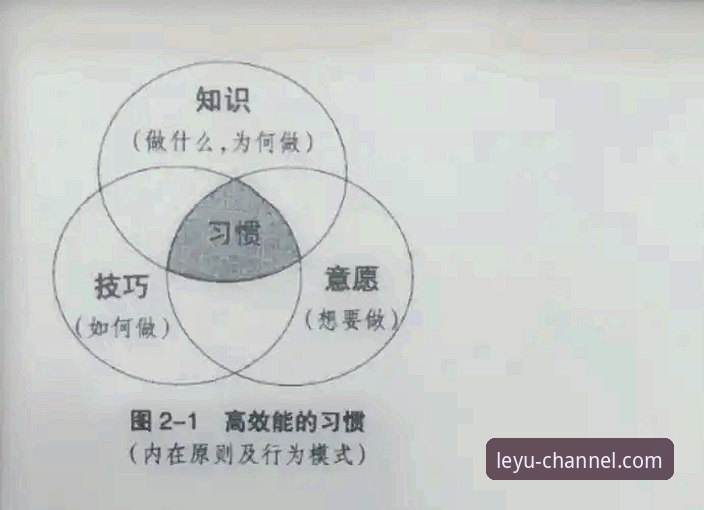 乐鱼app官网直连使用技巧 深度揭秘:乐鱼app官网直连使用技巧背后的高效体验密码